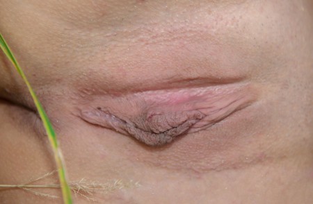 Летнее счастье: природа, чувственность, удовольствие