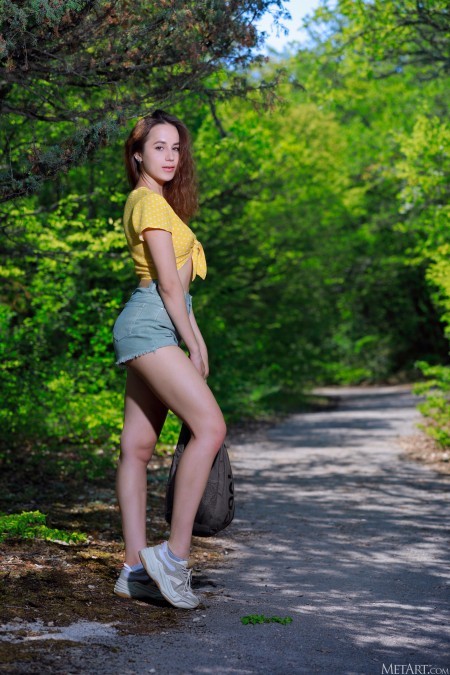 Радостная сущность летнего лесного наслаждения