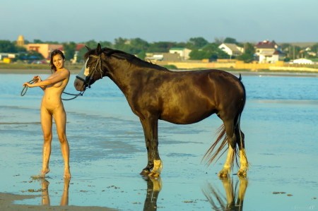 Летний портрет девушки на лошади