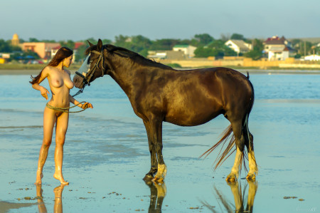 Летний портрет девушки на лошади