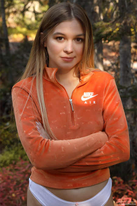 Лесная сова на осеннем свету