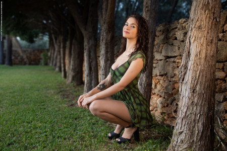 Летняя нежность в лесу