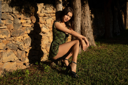 Летняя нежность в лесу