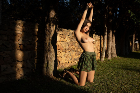 Летняя нежность в лесу